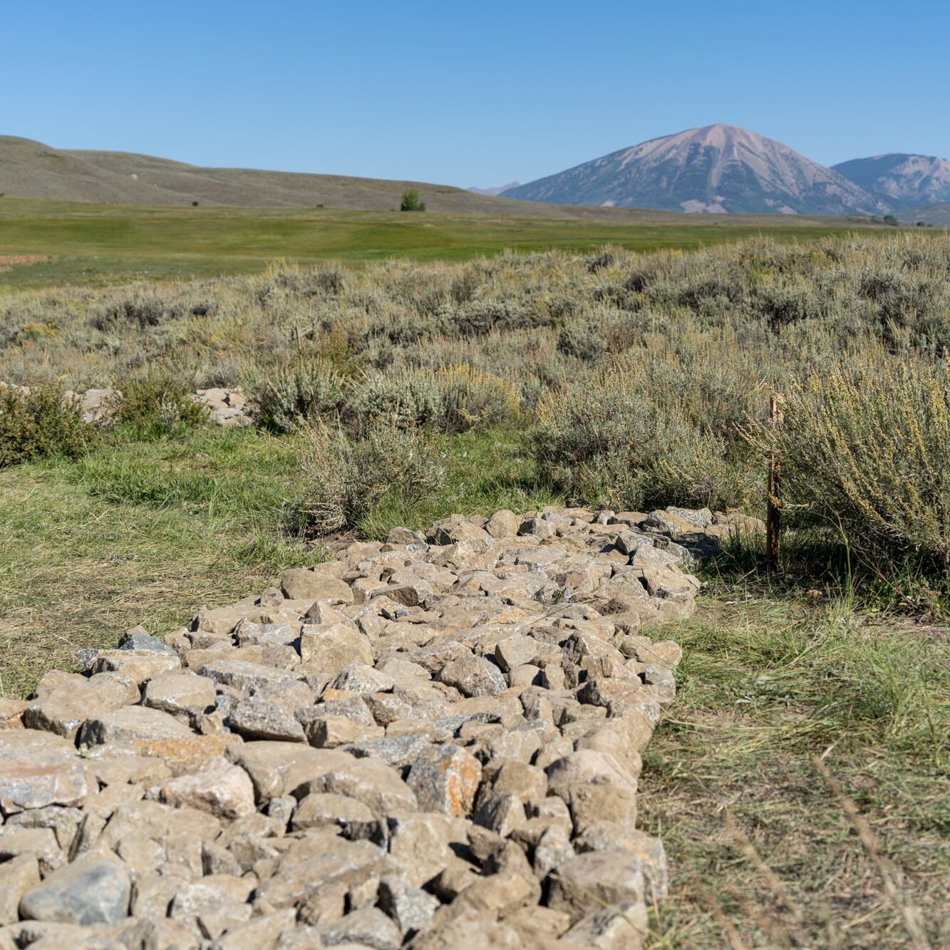 Antelope Creek Wet Meadow Project - logo